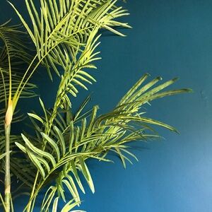 Meet your Posher, Razberuru